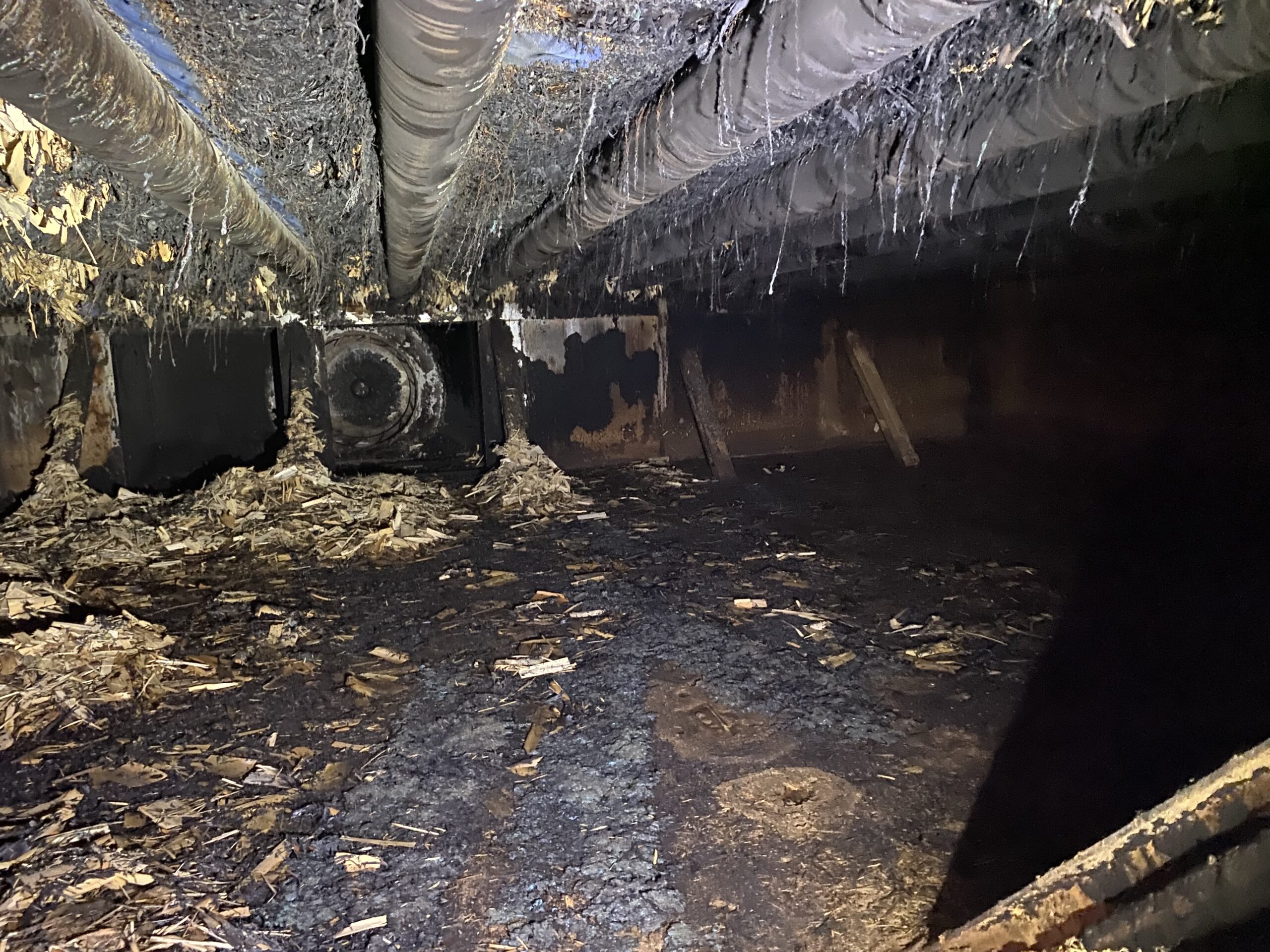 Incendie d'un séchoir à bois